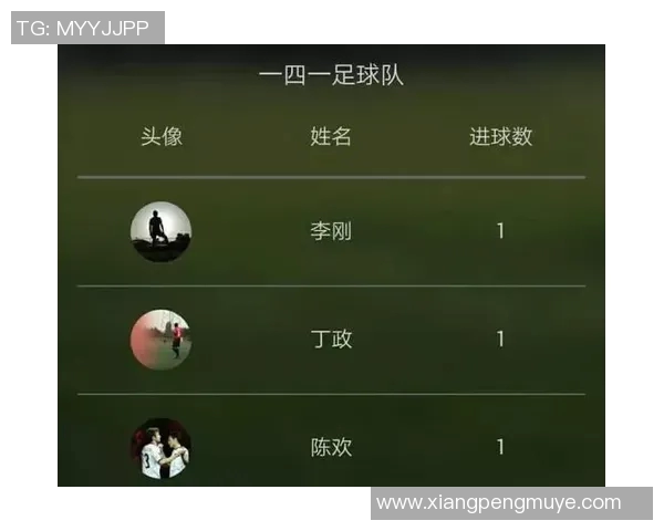 足球明星配置图表解析与各大联赛球员表现对比分析